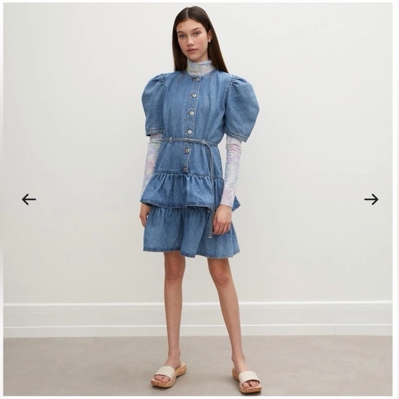 Les Coyotes de Paris Dorien Denim Ruffle Mini Dress Size Small - Picture 2 of 7